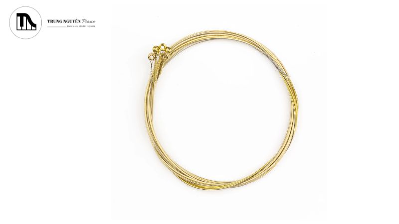 Elixir Nanoweb vs Polyweb: Chọn dây đúng cho âm thanh hoàn hảo 7 Polyweb chuyên về đệm hát (strumming) và muốn có một âm thanh nền dày dặn, ấm áp.