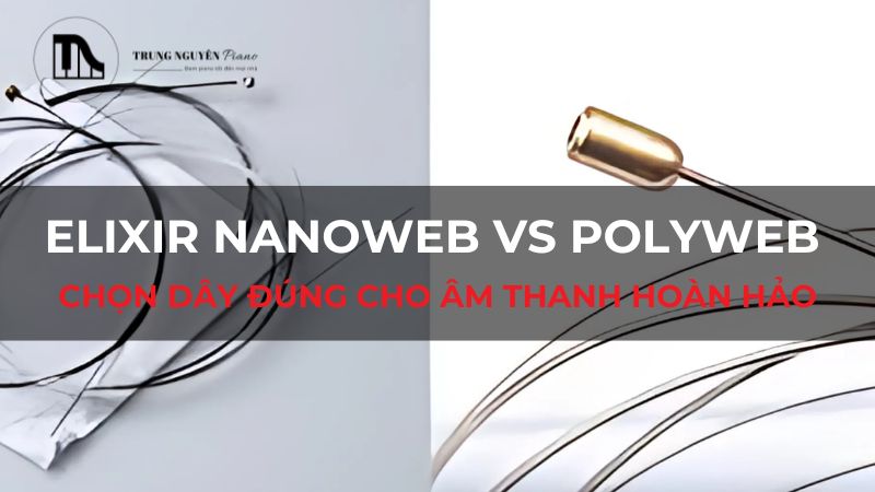 Elixir Nanoweb vs Polyweb: Chọn dây đúng cho âm thanh hoàn hảo
