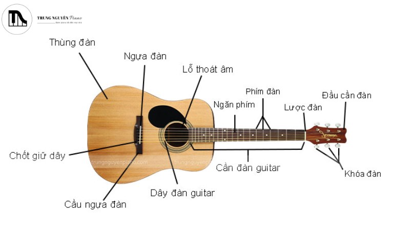 Phân biệt phần thân cần và mặt phím của guitar