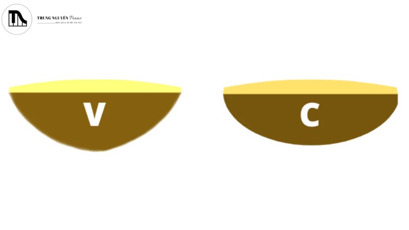 Cần đàn dáng V và C