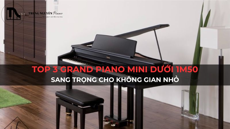 Top 3 Grand Piano Mini dưới 1m50: Sang trọng cho không gian nhỏ