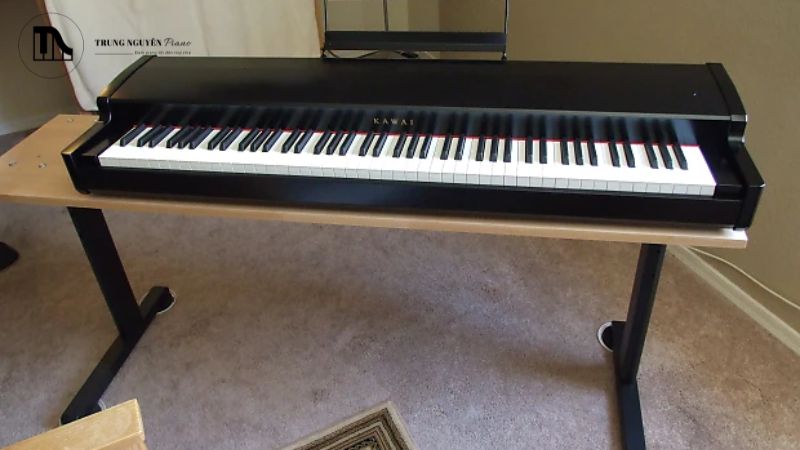 Pianist chuyên nghiệp và bán chuyên