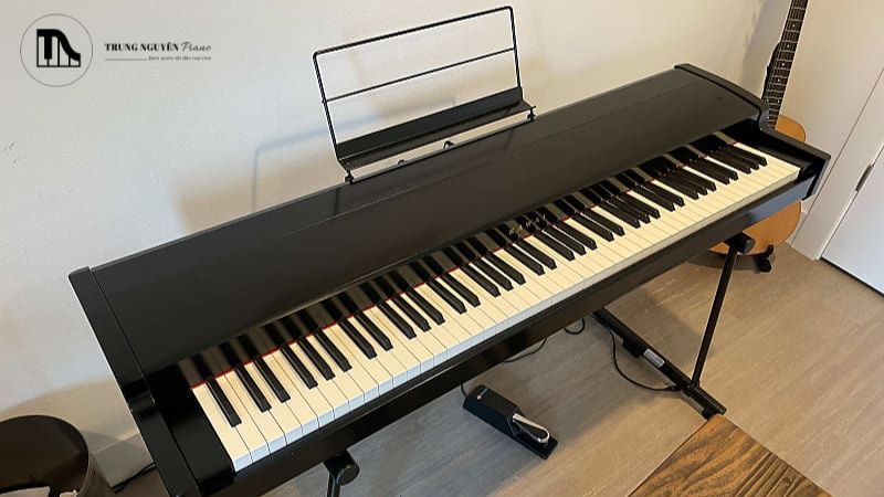 Các dòng CA và CN là piano điện hoàn chỉnh, có sẵn nguồn âm thanh