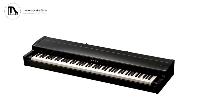 Cổng kết nối chính với máy tính, truyền cả dữ liệu MIDI và cấp nguồn cho đàn.