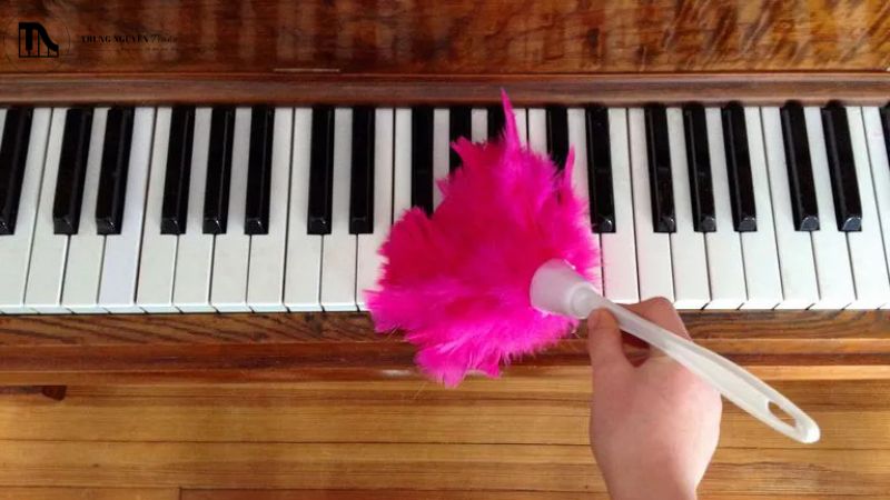 Nên tìm đến dịch vụ vệ sinh đàn piano khi nào