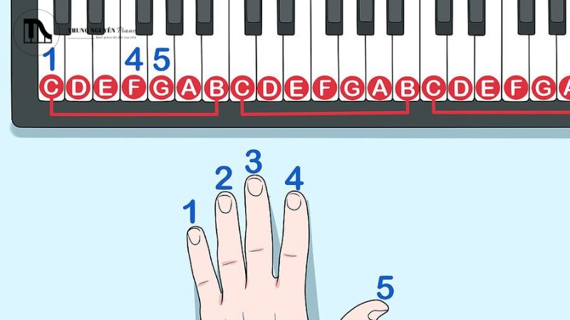 Walking Bass tạo ra một đường bass di chuyển liên tục