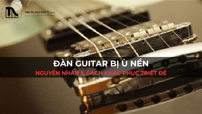 Lỗi nối đất guitar: Nguyên nhân gây ù nền & cách khắc phục