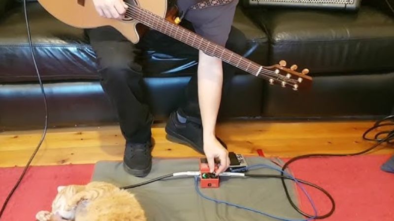 Người chơi đang kết nối và thiết lập pedal Looper