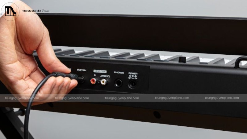 Cắm jack pedal vào đúng cổng "SUSTAIN" ở mặt sau của một cây piano điện