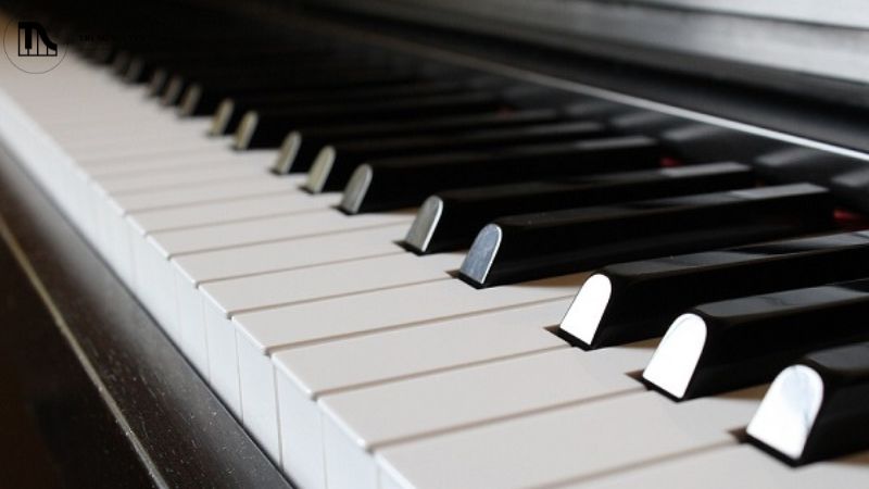 Phím đàn piano ngà voi quý hiếm, dễ ố màu nên cần vệ sinh đặc biệt