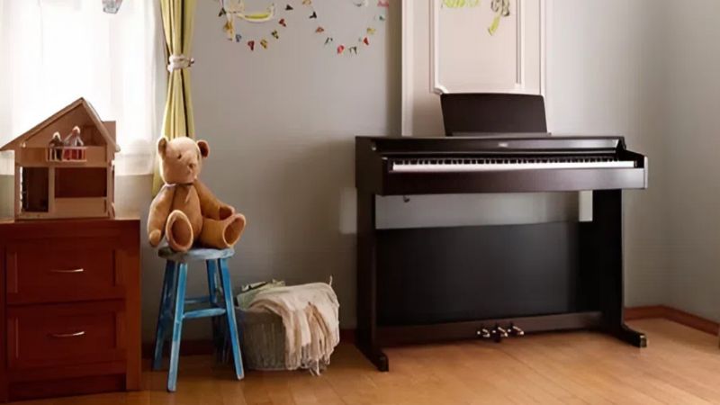 Môi trường đặt đàn lý tưởng: khô ráo, thoáng mát, không bị ẩm