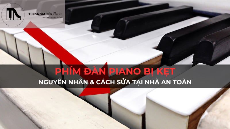 Phím đàn piano bị kẹt: Nguyên nhân & cách sửa tại nhà an toàn