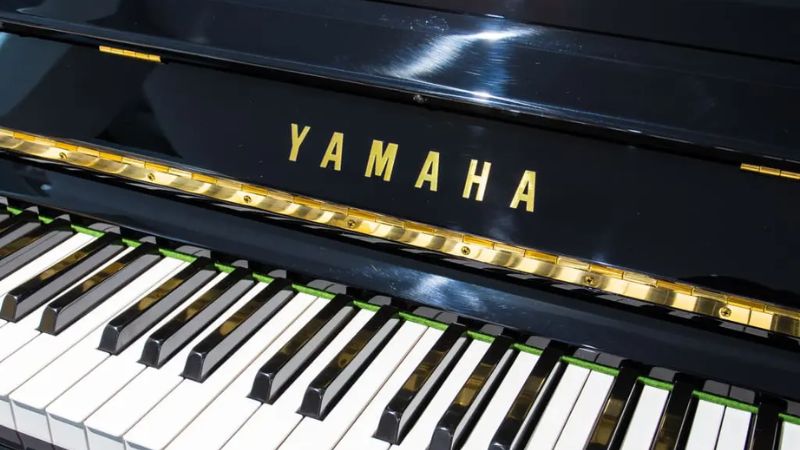 Piano cơ bị lệch tune: 5 Nguyên nhân & Cách khắc phục hiệu quả 11 Đặt máy hút ẩm trong phòng để duy trì độ ẩm ở mức lý tưởng