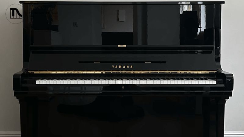 Top 5 piano cơ Upright size lớn (>130cm) âm thanh mạnh mẽ 1 Đàn piano cơ upright là lựa chọn phổ biến cho nhiều không gian nhờ thiết kế gọn gàng