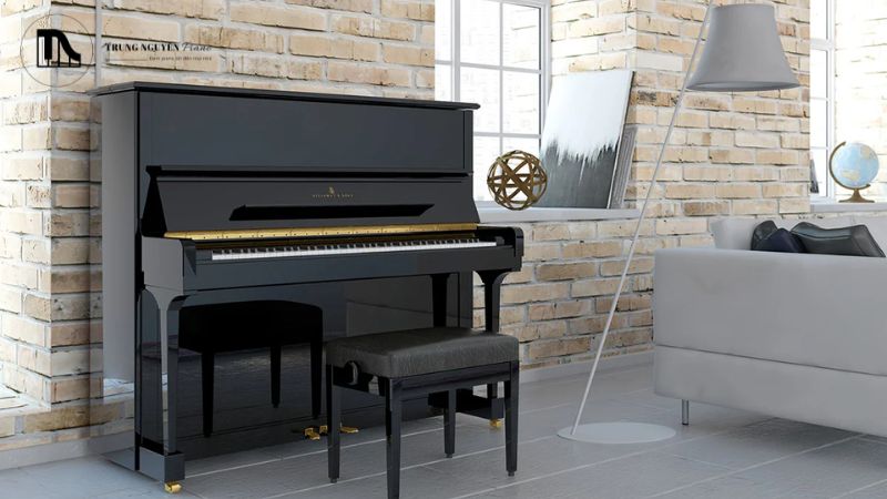 Top 5 piano cơ Upright size lớn (>130cm) âm thanh mạnh mẽ 10 Một cây đàn chất lượng sẽ truyền cảm hứng và giúp phát triển kỹ năng chuẩn