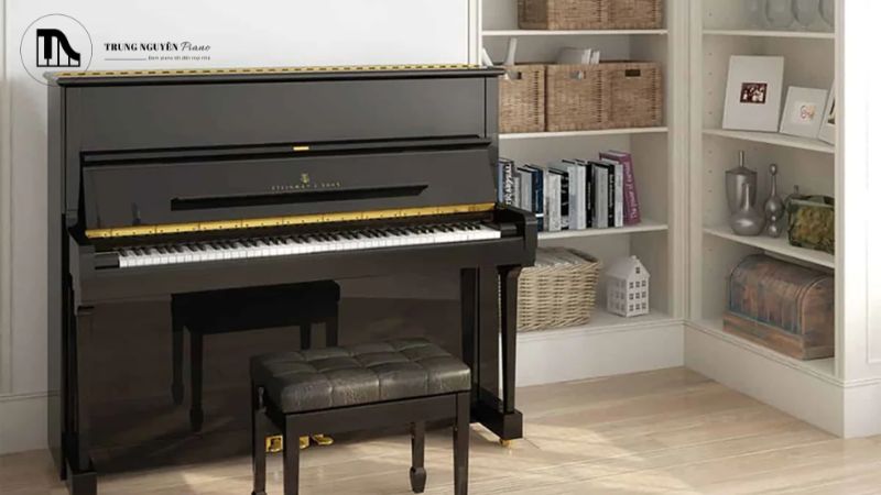 Top 5 piano cơ Upright size lớn (>130cm) âm thanh mạnh mẽ 11 Piano cơ size lớn là một khoản đầu tư đáng kể