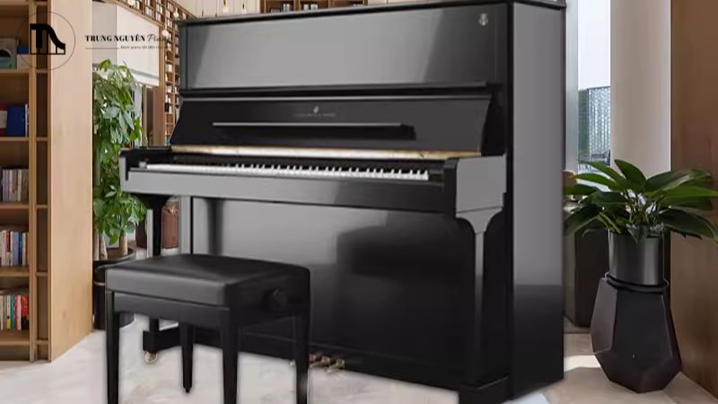 Top 5 piano cơ Upright size lớn (>130cm) âm thanh mạnh mẽ 12 Vị trí đặt đàn tối ưu trong không gian