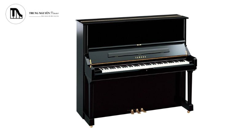 Top 5 piano cơ Upright size lớn (>130cm) âm thanh mạnh mẽ 5 Yamaha U3 được xem là tiêu chuẩn vàng trong thế giới piano upright