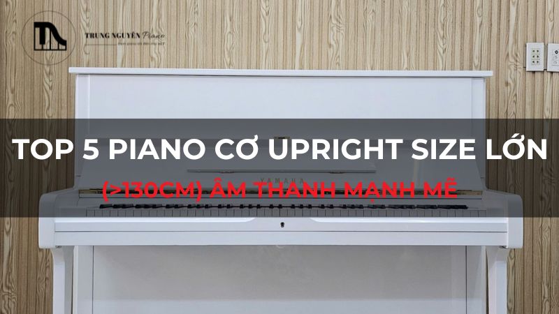 Top 5 piano cơ Upright size lớn (>130cm) âm thanh mạnh mẽ