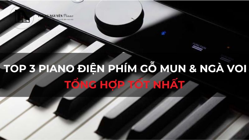 Top 3 piano điện phím gỗ mun & ngà voi tổng hợp tốt nhất