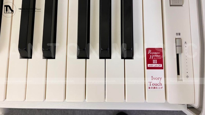 Top 5 Piano Điện thiết kế mỏng, tối ưu không gian sống 2 Bàn phím của một cây đàn piano điện nổi bật với kết cấu bề mặt phím