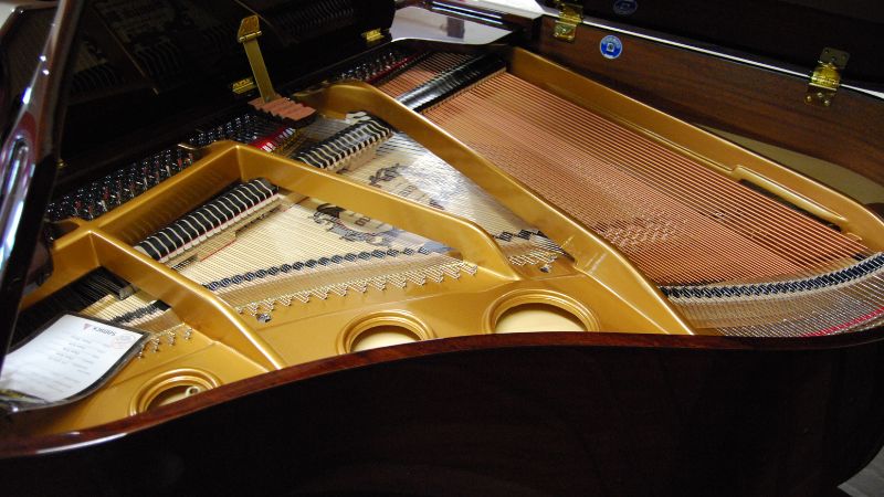 Đánh giá Samick SIG-50D: Lựa chọn Grand Piano nhập môn tốt nhất 2 Khung gang đúc theo công nghệ V-Pro giúp đàn giữ dây căng ổn định