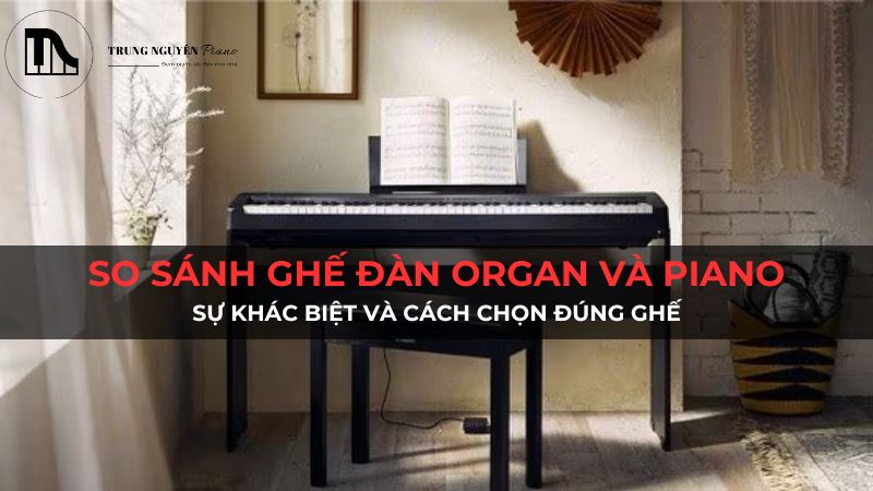So sánh ghế đàn organ và piano: Sự khác biệt và cách chọn đúng ghế