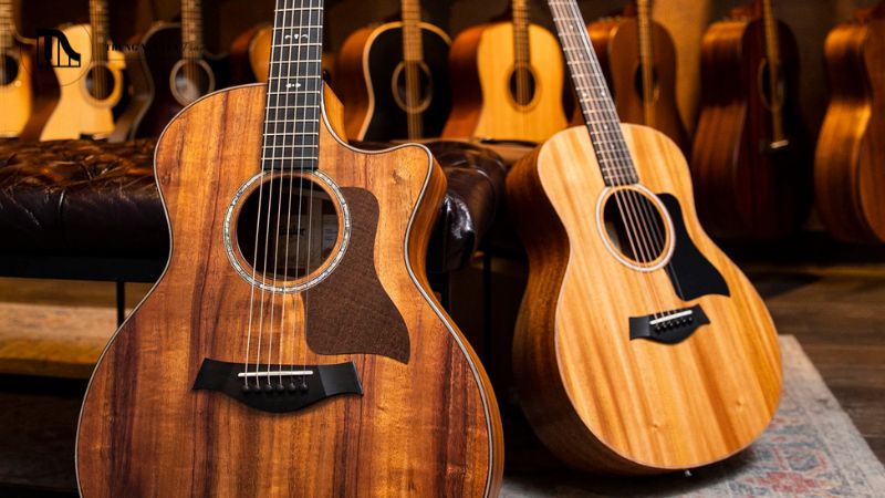 So sánh Taylor GS Mini và Martin LX1E: Ai là vua guitar du lịch? 7 Taylor GS Mini âm thanh lớn, vang và sáng rõ, vượt trội so với kích thước