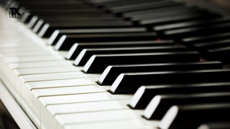 Việc tự vận chuyển hoặc thuê các đơn vị không chuyên nghiệp