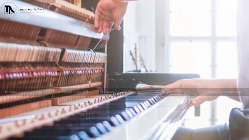 Đối với chân đàn bị nứt hoặc gãy, chúng tôi sẽ sử dụng keo gỗ công nghiệp