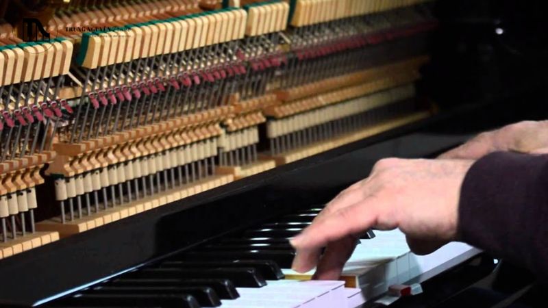 Tại sao nên chọn sửa chữa và bảo dưỡng đàn piano chuyên nghiệp? 10 Căn chỉnh bộ máy đàn (Action Regulation) là công việc phức tạp
