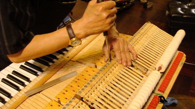 Tại sao nên chọn sửa chữa và bảo dưỡng đàn piano chuyên nghiệp? 3 Việc bỏ qua bảo dưỡng định kỳ hoặc cố gắng tự sửa chữa khi thiếu chuyên môn
