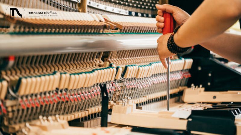 Tại sao nên chọn sửa chữa và bảo dưỡng đàn piano chuyên nghiệp? 5 Âm thanh các nốt không còn hòa quyện, nghe chói tai hoặc "phô"