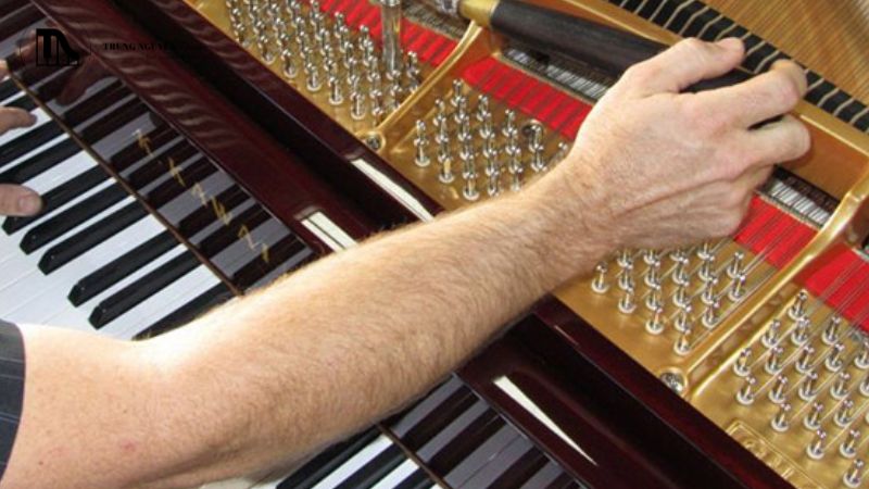 Tại sao nên chọn sửa chữa và bảo dưỡng đàn piano chuyên nghiệp? 7 Đơn vị sửa chữa và bảo dưỡng đàn piano uy tín luôn minh bạch về nguồn gốc linh kiện