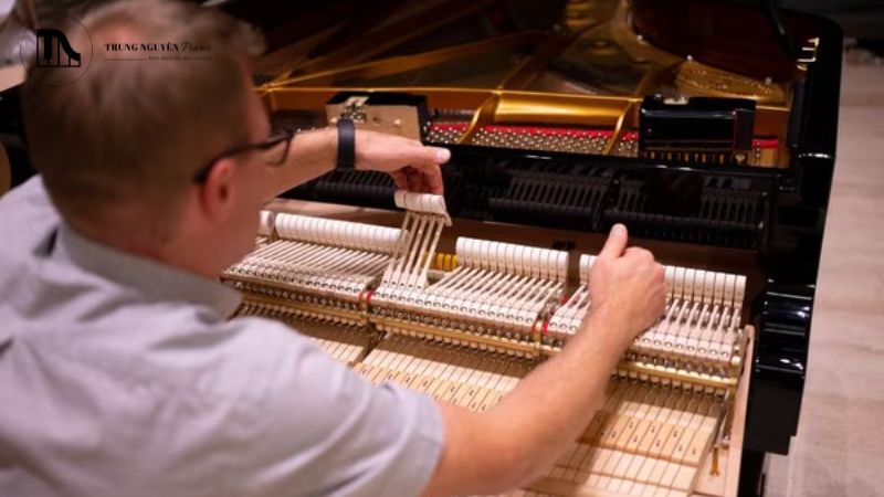 Tại sao nên chọn sửa chữa và bảo dưỡng đàn piano chuyên nghiệp? 8 Cơ sở vật chất và trang thiết bị chuyên dụng