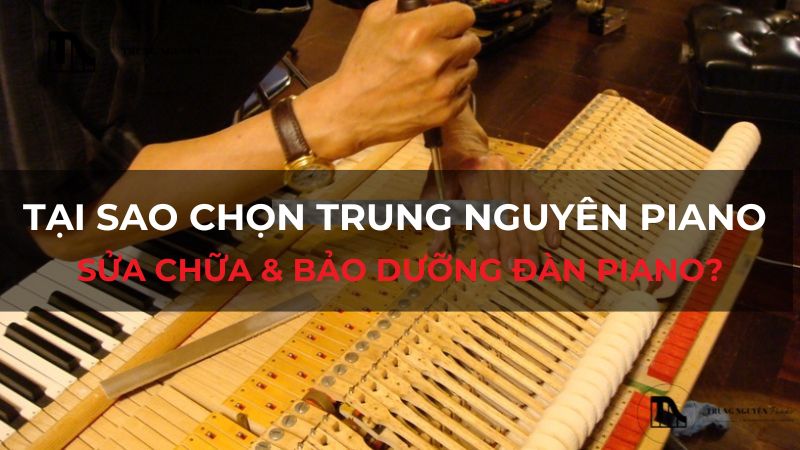 Tại sao chọn Trung Nguyên Piano sửa chữa & bảo dưỡng đàn piano?