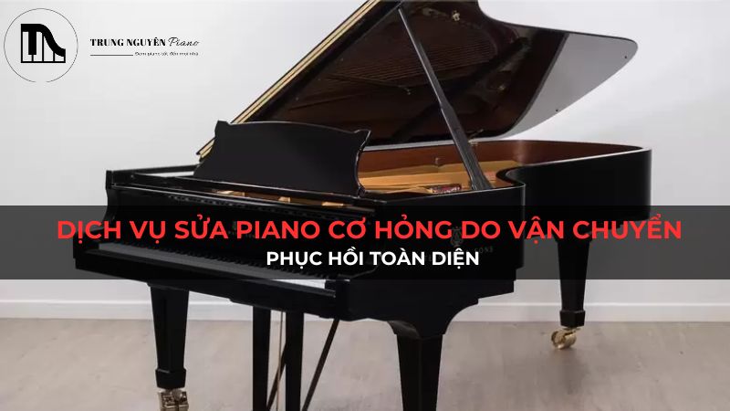 Dịch vụ sửa chữa đàn Piano Cơ hư hỏng do vận chuyển: Phục hồi toàn diện