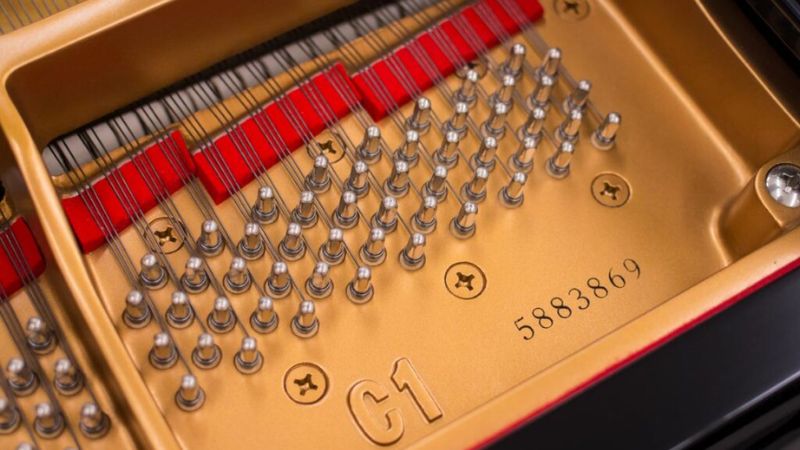 Tra cứu số serial giúp người mua nắm rõ tuổi thọ và lịch sử sử dụng của cây đàn