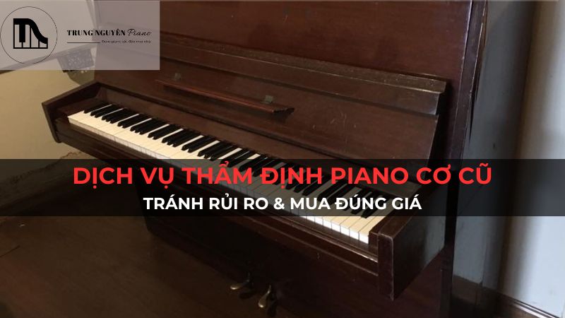 Dịch vụ thẩm định đàn piano cơ cũ: Tránh rủi ro & mua đúng giá