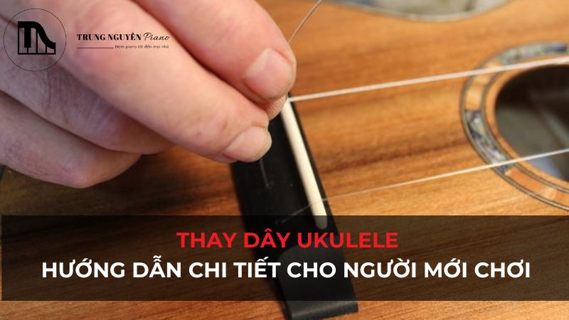 Hướng dẫn 4 bước thay dây đàn Ukulele chi tiết cho người mới