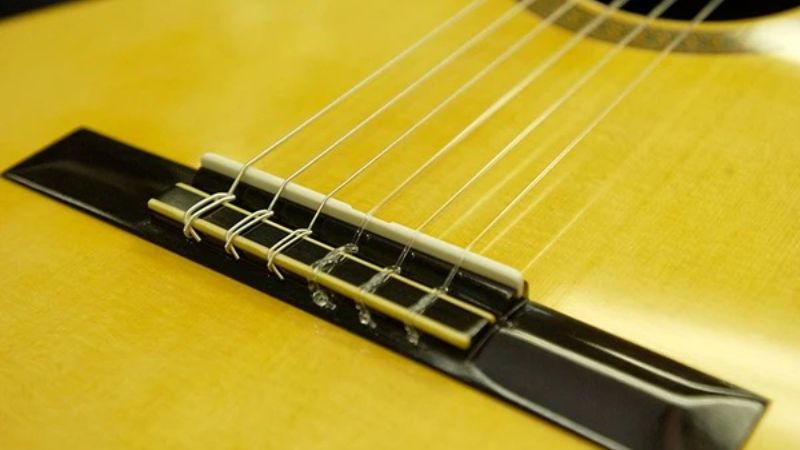 Một ngựa đàn chất lượng đảm bảo âm thanh vang xa và setup dây hợp lý