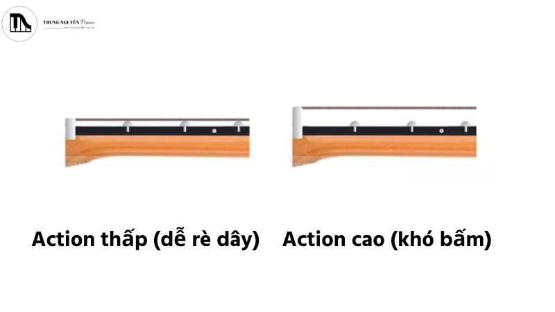 Action quá thấp gây rè dây ở nhiều vị trí, thường do ngựa đàn không phù hợp