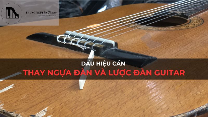 Dấu hiệu cần thay ngựa đàn và lược đàn guitar