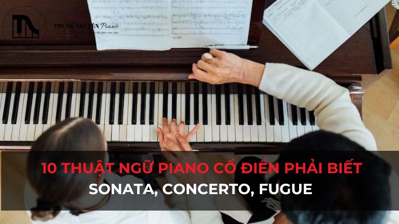 10 thuật ngữ Piano cổ điển phải biết: Sonata, Concerto, Fugue