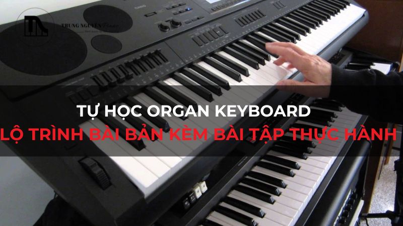 Tự học Organ Keyboard: Lộ trình bài bản kèm bài tập thực hành