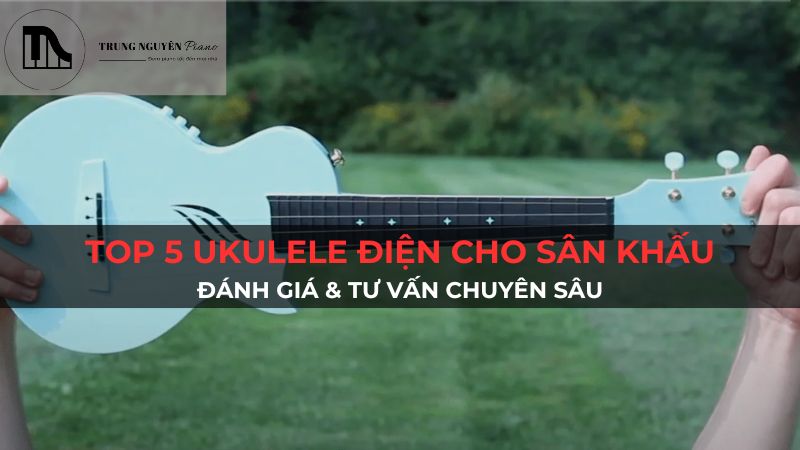 Top 5 Ukulele điện cho sân khấu: Đánh giá & tư vấn chuyên sâu