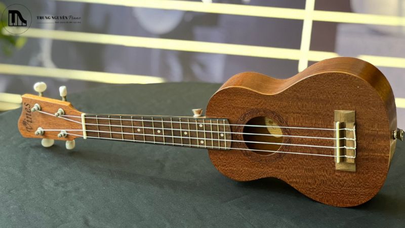 Lau chùi Ukulele
