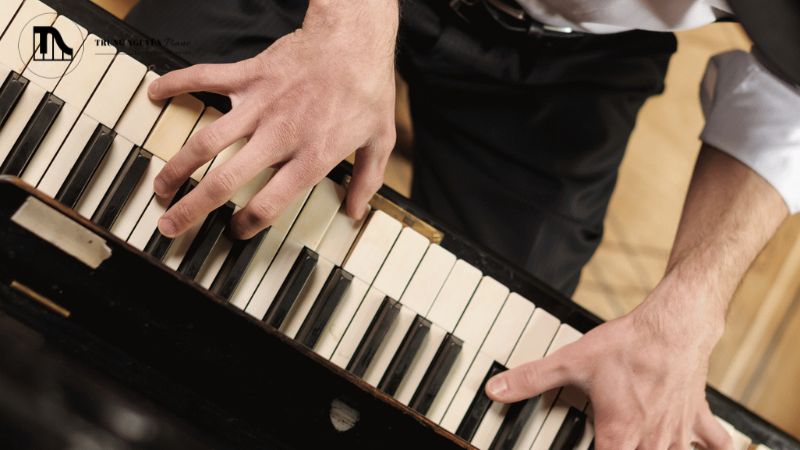 Vai trò trong luyện tập và sáng tạo nhạc