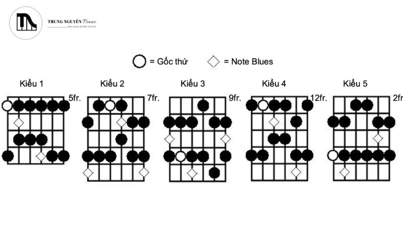 Người chơi guitar cần nắm vững các thế bấm hợp âm 7