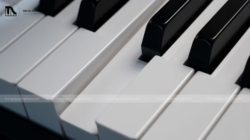 Đánh giá Yamaha CK88: Stage Piano All-in-One cho mọi sân khấu 4 Bàn phím GHS 88 phím của Yamaha CK88